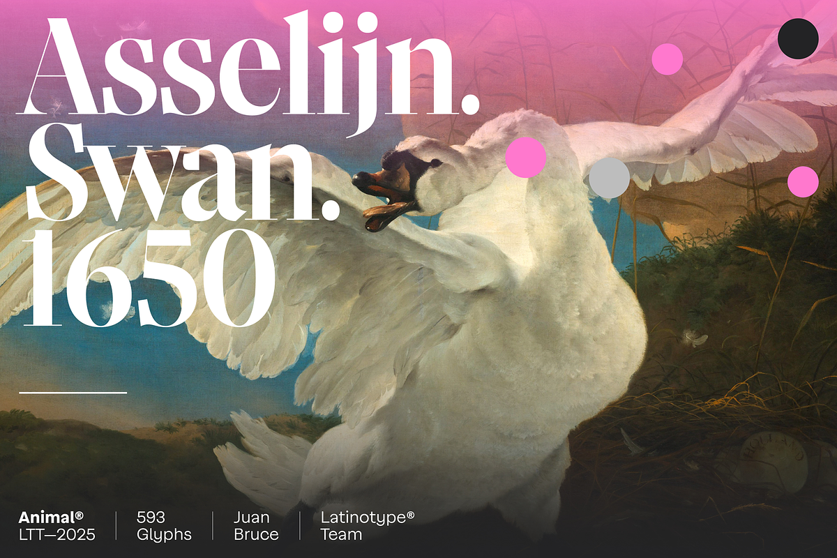 Animal, a Serif Font by Latinotype (Photo 14 of 14)