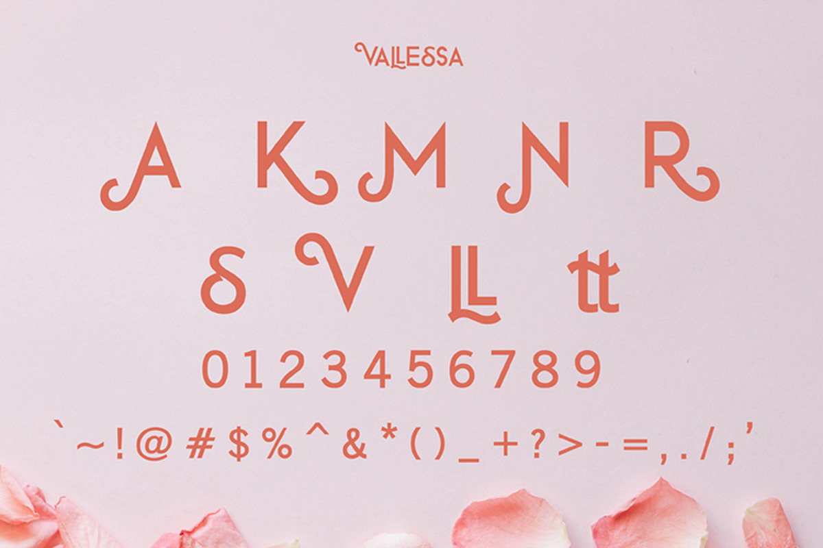 Vallessa, a Sans Serif Font by edcreative (Photo 5 of 9)