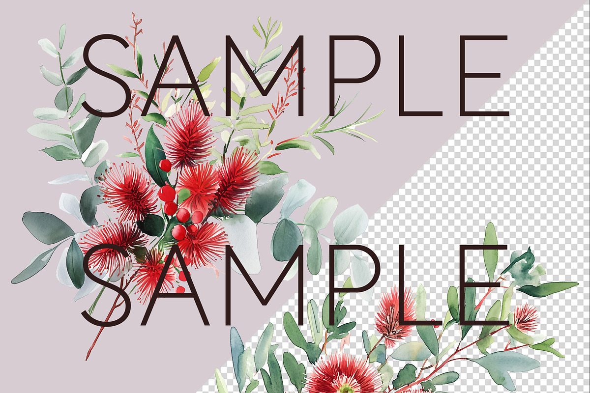Australian Watercolur Flowers Mega, a Decorative Illustration by Pawcasso's Portraits (Photo 10 of 10)