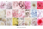 65 Soft Bloom Blur Backgrounds., a Background Graphic by TaPilipa (Thumbnail 5 of 9)