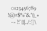 Gunma Serif Font Family, a Serif Font by Creativetacos (Thumbnail 3 of 7)