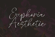 Glossily Enigmatic - a Modern Font, a Script Font by Ali Hamidi (Thumbnail 8 of 9)