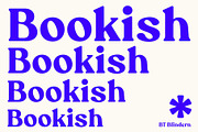 BT Blindern, a Serif Font by BadType (Thumbnail 8 of 9)