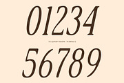 CS Quinary Drawn, a Serif Font by Craft Supply Co. (Thumbnail 5 of 8)