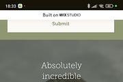 Photographer - Wix Studio Template, a Wix Template by Kitteeh (Thumbnail 12 of 12)