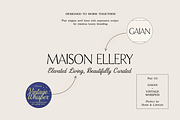 Wedding Font Collection, a Script Font by gafaroff studio (Thumbnail 4 of 22)
