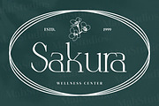 Anbittah Serif Fonts, a Serif Font by mahstudios (Thumbnail 7 of 13)
