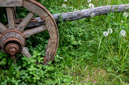 Wooden cart wheel covered with iron