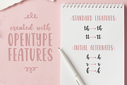 Garden Fancy Font Duo with Extras, a Script Font by The Pretty Letters (Thumbnail 6 of 11)