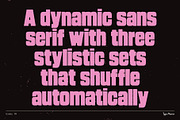 Dummy TM – Bold Distressed Type, a Sans Serif Font by Type Mania (Thumbnail 2 of 10)