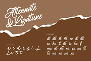 Febianty Modern Script Font, a Script Font by RantautypeStudio (Thumbnail 15 of 16)