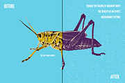 Alternative Printmaker, a Layer Style Add-On by Guerillacraft (Thumbnail 5 of 10)