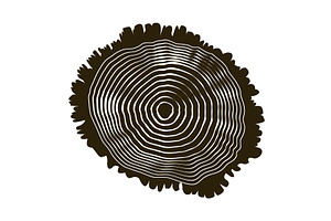 Wooden logs texture. Wood, an Object Illustration by Things for designers
