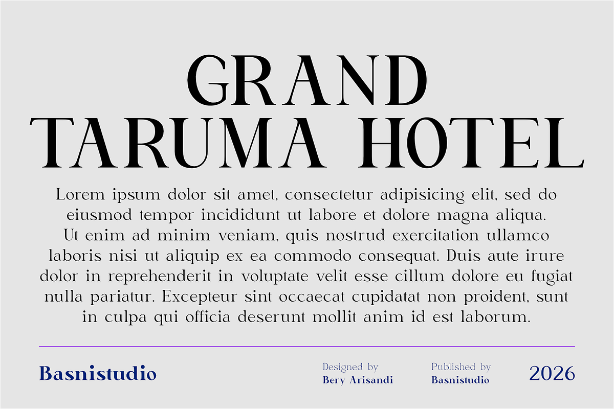 Delusion – Elegant Serif Font, a Serif Font by Basnistudio (Photo 6 of 10)
