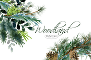 Watercolor Leaves & Greenery, an Illustration by Feather Grace Designs (Thumbnail 1 of 12)