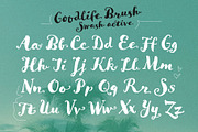 Goodlife Brush + Extras, a Script Font by HvD Fonts (Thumbnail 4 of 4)