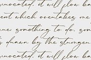 Rulligedro Modern Calligraphy Script, a Script Font by Letterena Studios Script (Thumbnail 10 of 15)