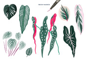 Markers Procreate Brush Set, a Brush Add-On by Insalata Illustrata (Thumbnail 3 of 12)