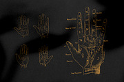 Palmistry, Zodiac & Occult, an Illustration by Nomad Visuals (Thumbnail 3 of 13)