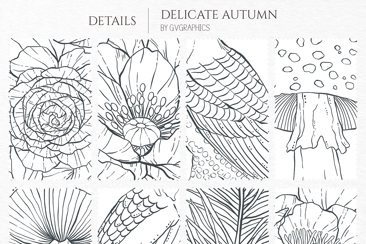 Delicate Autumn Collection, a Seasonal Illustration by GVGraphics (Photo 7 of 15)