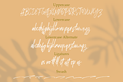 Rose Brown - Brush Script, a Script Font by Youthlabs Studio (Thumbnail 14 of 15)