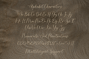 Burnette, a Script Font by RT Studio (Thumbnail 8 of 9)