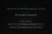 Backyard Natural Business Font, a Sans Serif Font by MikroType Std (Thumbnail 8 of 9)