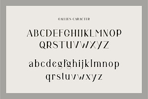 Gallies Ligature Serif Typeface