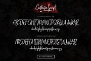 Cashion Script, a Script Font by Emtheen Std. (Thumbnail 7 of 10)
