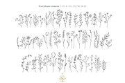 WILDFLOWER LINE ART, an Object Illustration by Kate Art (Thumbnail 2 of 22)