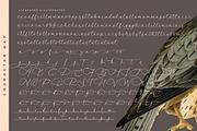 Garden Silent Elegant Script Font, a Script Font by stylishtype.co (Thumbnail 19 of 20)