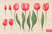 Watercolor tulips collection, a Graphic by Epine (Thumbnail 2 of 3)
