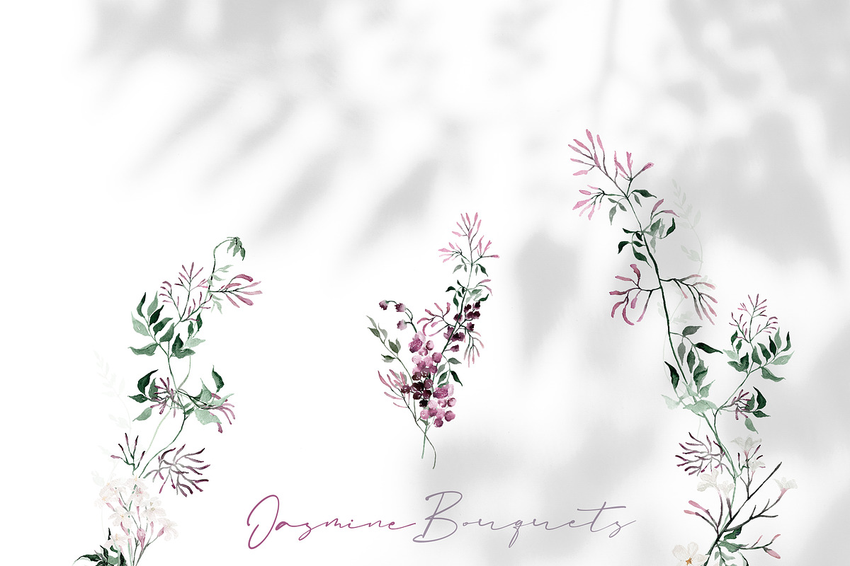 Watercolor flower - Jasmine, an Illustration by Beigetime (Photo 13 of 16)