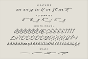 Pharellia Redusha A Modern Script, a Script Font by Storytype Studio (Thumbnail 14 of 15)