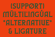 Mishca - Modern Serif, a Serif Font by Marvadesign (Thumbnail 11 of 11)