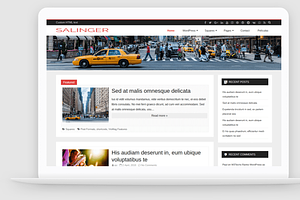 Salinger Blog WordPress Theme