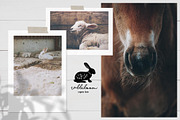 Farm love - premade logos set, a Branding & Logo Template by Alisovna (Thumbnail 10 of 12)