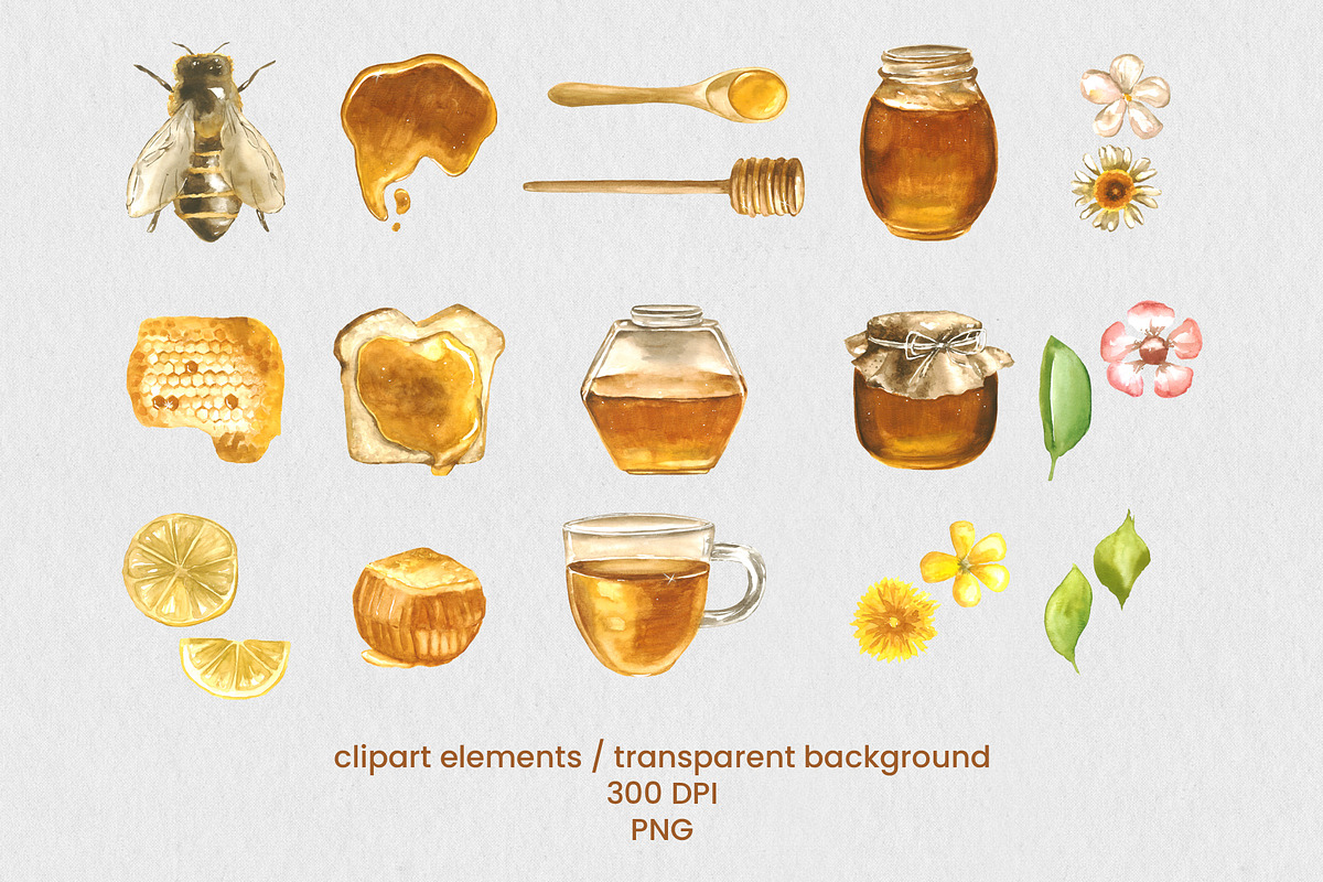 Honey Breakfast Watercolor Bundle, a Food Illustration by foxsong (Photo 3 of 12)