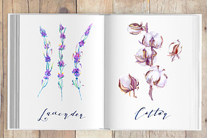 Lavender And Cotton Watercolor Set