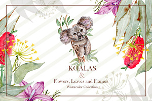 Watercolor Koala Collection