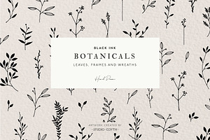 Botanical Illustration Bundle