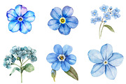 Forget Me Not Flower Bloom Clipart, an Illustration by cherrydesign (Thumbnail 3 of 4)