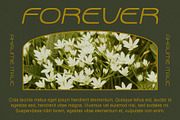 Akalime Stamp, a Sans Serif Font by Craft Supply Co. (Thumbnail 4 of 8)