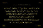 CS Florens Disco, a Serif Font by Craft Supply Co. (Thumbnail 8 of 8)