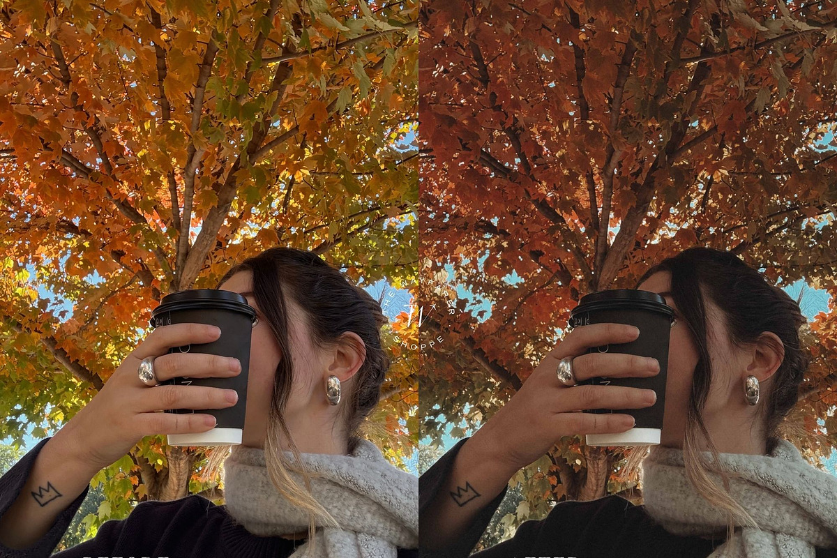 15 Moody Fall Lightroom Presets, a Preset Add-On by TheWayfarerShoppe (Photo 4 of 8)