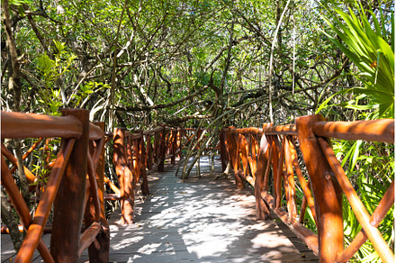 Mexico tourism destination, caves, a Nature Photo by Web Engine Design