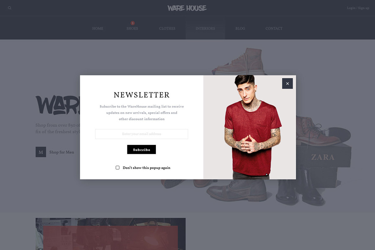 Warehouse PSD eCommerce template, a Websites & App Template by Digipieces (Photo 16 of 17)
