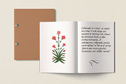 Silverdale Typeface, a Blackletter Font by Emyself Design (Thumbnail 11 of 14)