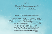 Abellaice Script Font, a Handwritten Font by Letterhanna Studio (Thumbnail 9 of 10)