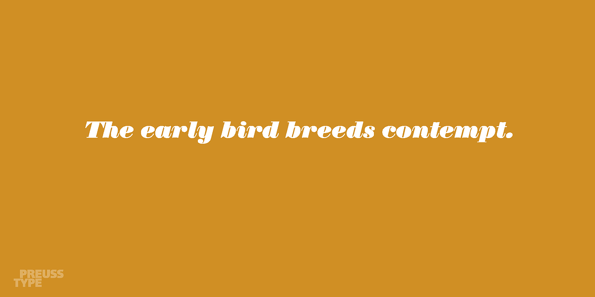Battista, a Serif Font by preussTYPE (Photo 4 of 9)